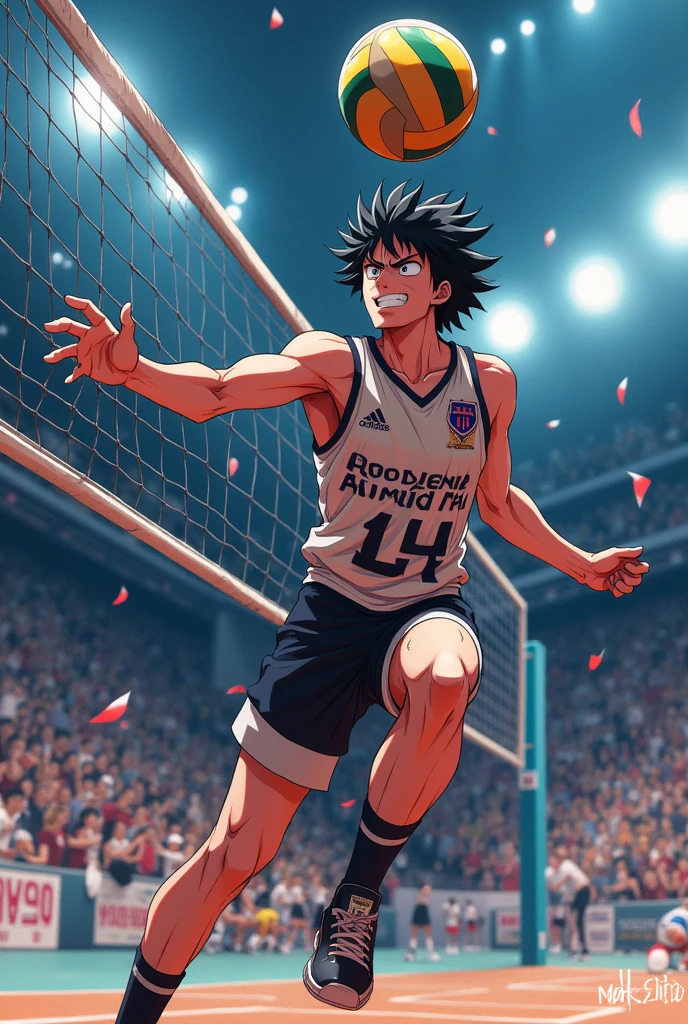 Aizawa volleyball player my hero academia (anime)