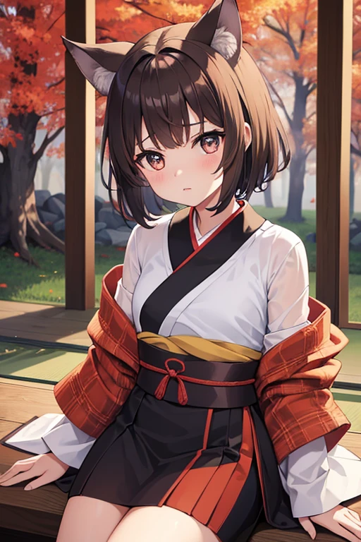 　A very small girl　Normal chest　Wolf ears　Brown short hair　The background is inside the autumn forest　Kimono hairpin　first round　　front