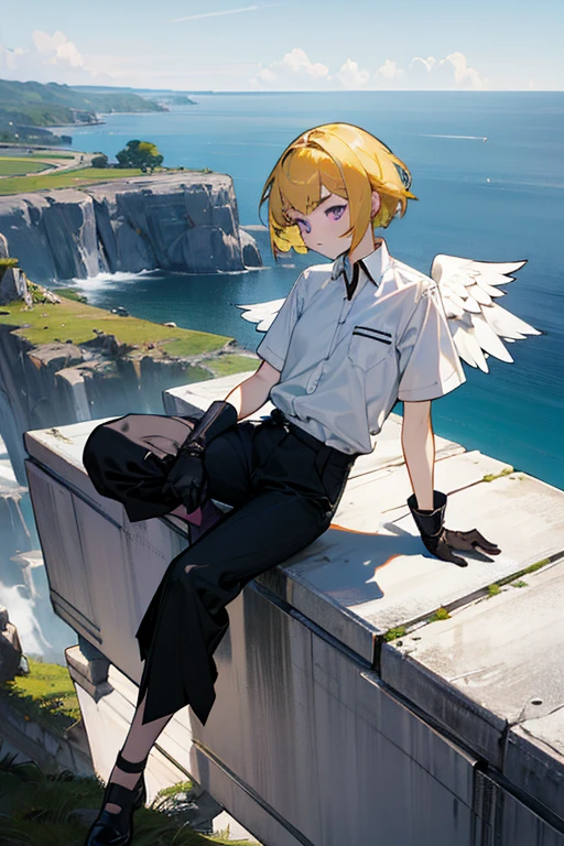 girl, short yellow hair, purple eyes, eyebrows, white, with white wing on the back, with short training shirt, and black long pants, short glove on hand, sitting on a cliff, with a straight face