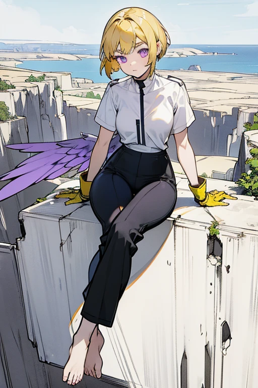 girl, short yellow hair, purple eyes, eyebrows, white, with white wing on the back, with a very short training shirt, and black long pants, barefoot, large breasted, big-ass, short glove on hand, sitting on a cliff, with a straight face