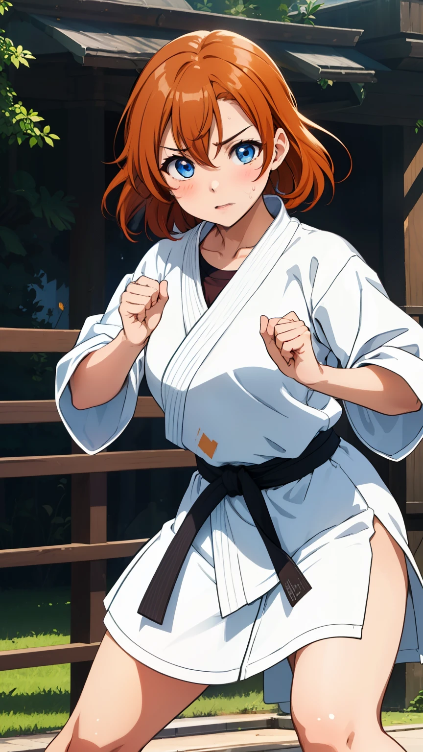 (masterpiece, 最high quality, high quality), whole body,Volumetric lighting, figure, beautiful, Perfect lighting, Perfect Shadow, (Nice views:1.1), Blushing, In-person audience, Are standing,Honoka Kousaka, blue eyes, Orange Hair,Empty-handed,White Karate Custom, Big Breasts, 発Sweat, 、Serious、Desperate、A moment of battle、Sweat、Scramble、Being attacked by multiple people、Being Mounted、defense、passive、Defend and parry、Type