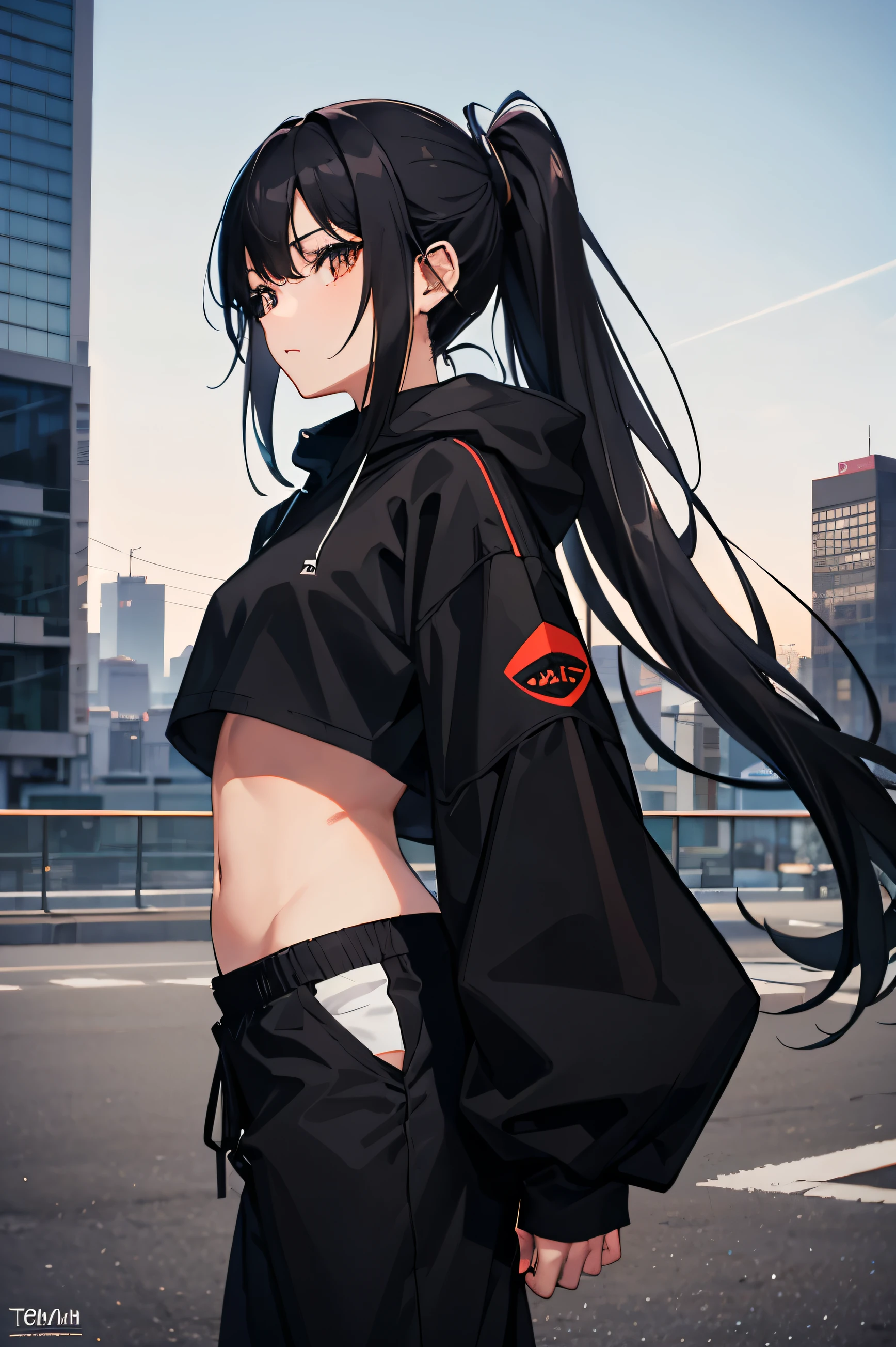 very good image, a cute beautiful anime tomboy girl, long black hair, ponytail, black crop top hoodie, black training pants, city(hd view), high quality, high details, 8k, high res