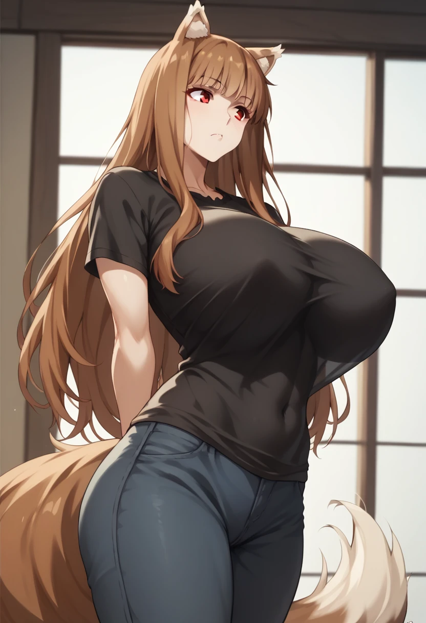 Brown Hair,Long Hair,Red eyes, Wolf Girl,Wolf Ears,Wolf's tail、Huge breasts、T-Shirts(tight)、タイトロングマキシスカート