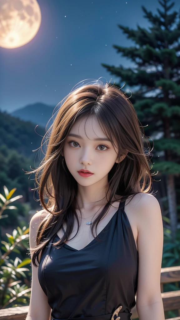 ulzzang-6500-v1.1, (RAW photo: 1.2), (Real photo), (Real photo: 1.4), 1 girl、Perfect anatomy、1、Looking at the camera、Medium length hair、purple party dress, on the pine hill at night, with stars and moon, ((on the pine hill at night: 1.1))、(Business service)、Asian eyes Ella,