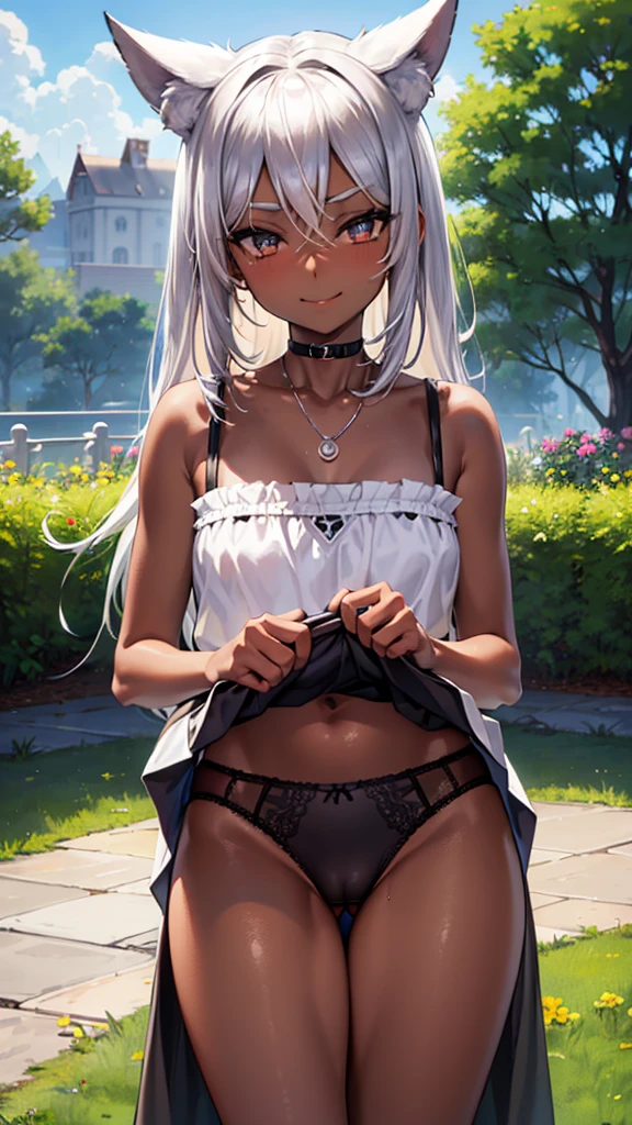 （dark skin,Silver Hair,Fox Girl）,(Perfectly detailed face),(Young) ,(camisole,mini skirt),(((skirt lift))), (((Black underwear))),cameltoe,garden,noon,sweaty,Smirk,High resolution, masterpiece, Highest quality, High resolution, Cowboy Shot