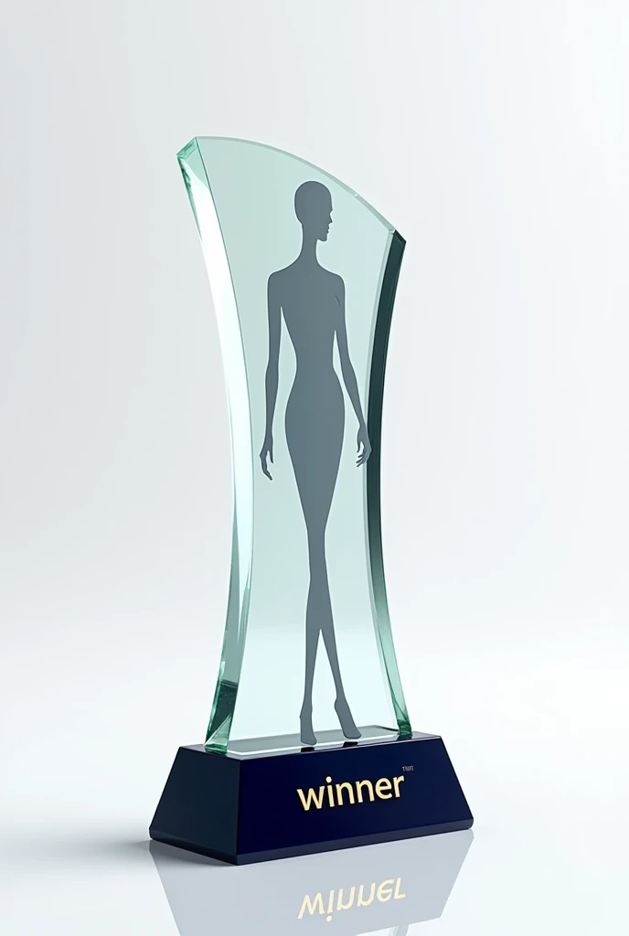 A photo of a glass trophy with a dark blue base and gold lettering. The trophy has a stylized fashion designer silhouette and the text "Project Fashion Designer". The base of the trophy has the text "Winner". The background is whitle