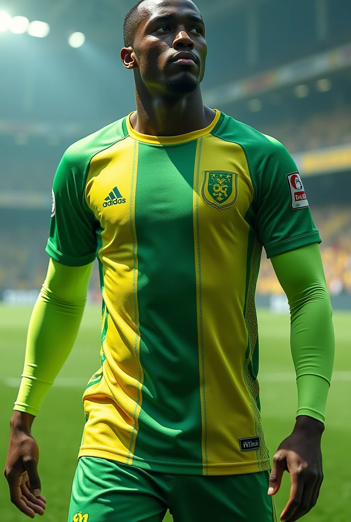 football shirt main color green (not so dark) with yellow and white details.
Green on the sleeves, Yellow and white details on the chest.