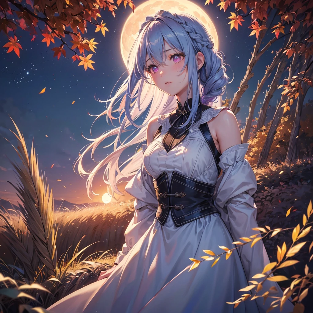 (Braiding hair),(Sky blue medium hair), (Pink eyes),(Fair skin) ,(whole body),(One Girl),(harvest moon),(A large amount of Miscanthus sinensis in the background),autumn,(full moon),(masterpiece, Highest quality, Very detailed, Best Shadow), (Detailed Background), (Beautifully detailed face), High Contrast, (Best lighting, Very delicate and beautiful), ((Cinematic Light)), Hyper Detail,8k, Dramatic Light, Intricate details,Autumn leaf viewing,