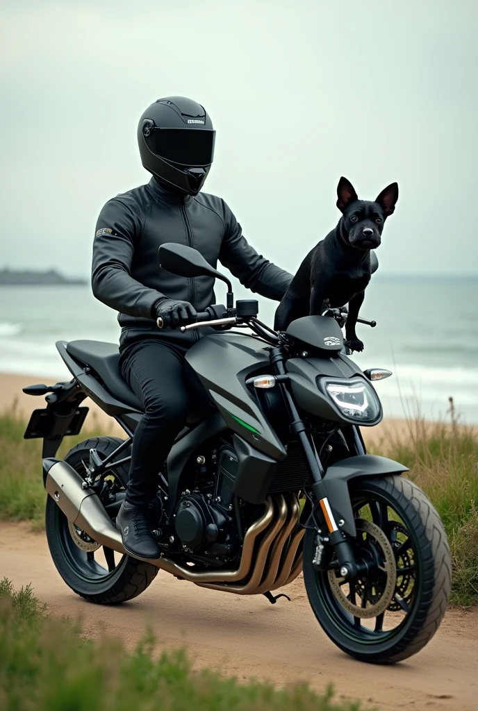 Create an image of a man in a closed black helmet, black motorcycle jacket and black pants, walking a black mini schnauzer dog, cinza e marrom, riding a kawasaki versys 300x motorcycle, role model, light green and black trail, on top of the fuel tank on a beach