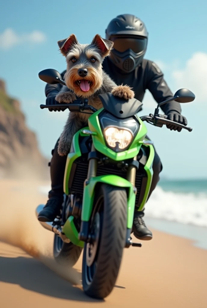 Create an image:
A schnauzer dog, small size, black in color, gray and brown that is happy with its tongue out. He has a gray and black body with a brown and gray mustache and light brown and gray paws. Riding a light green Kawasaki Versys x motorcycle., trail model on a beach.
With a man in a black closed helmet and black clothes