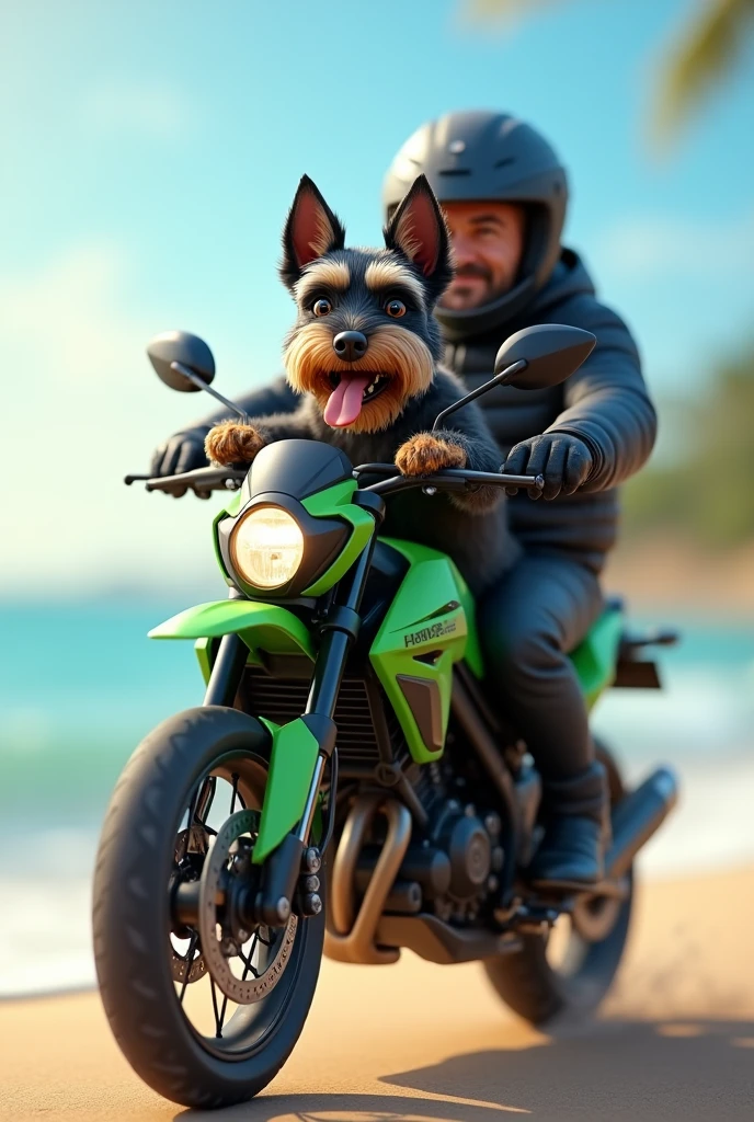 Create a horizontal image A schnauzer dog, small size, black in color, gray and brown that is happy with its tongue out. He has a gray and black body with a brown and gray mustache and light brown and gray paws. Riding a light green Kawasaki Versys x motorcycle., trail model on a very beautiful beach with the calm sea and the sun.

With a man in a black closed helmet and black clothes

