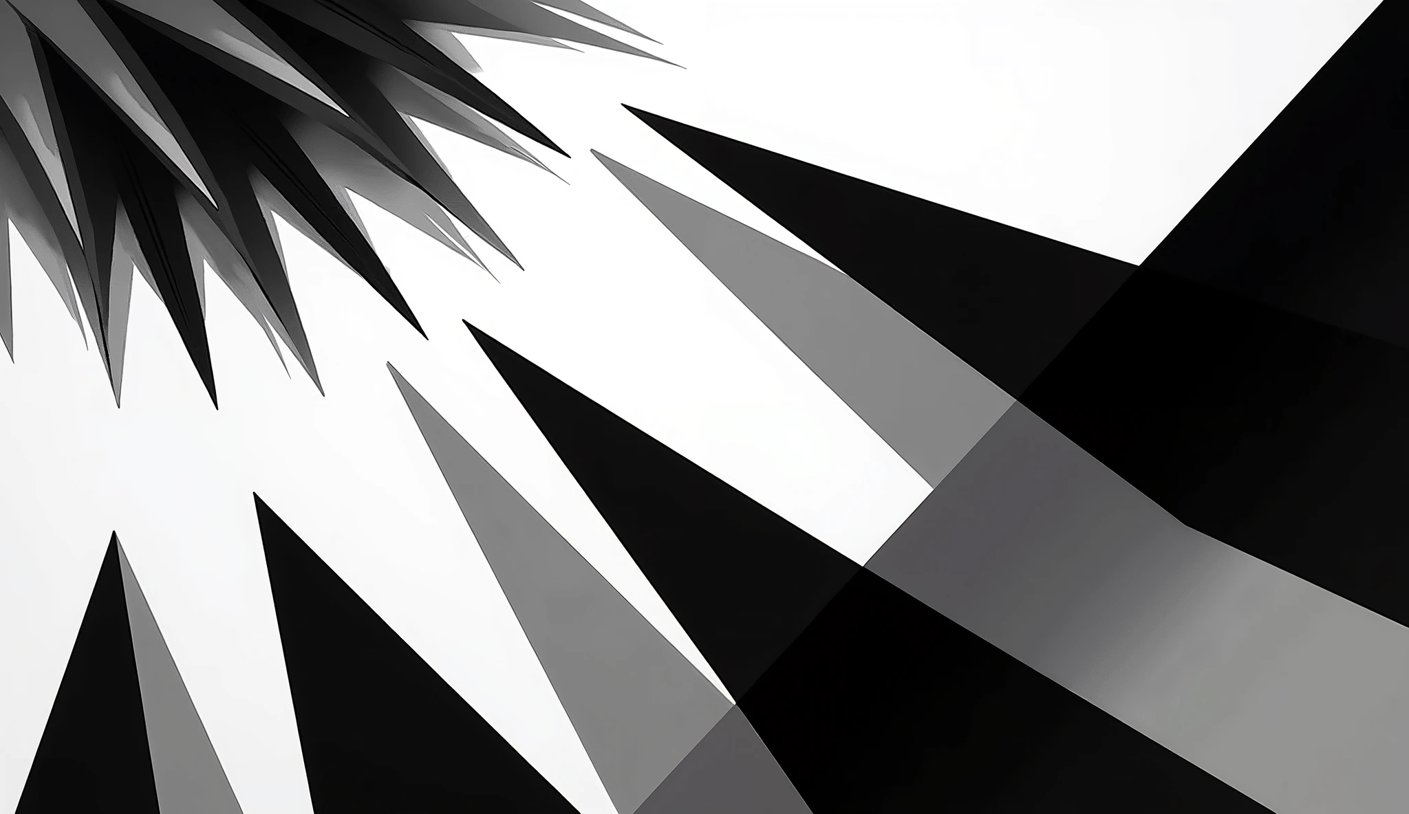 An abstract image featuring bold geometric shapes in black and white, with strong contrast between the two colors. The sharp edges and distinct separation between light and dark areas create a dynamic and visually engaging composition.
