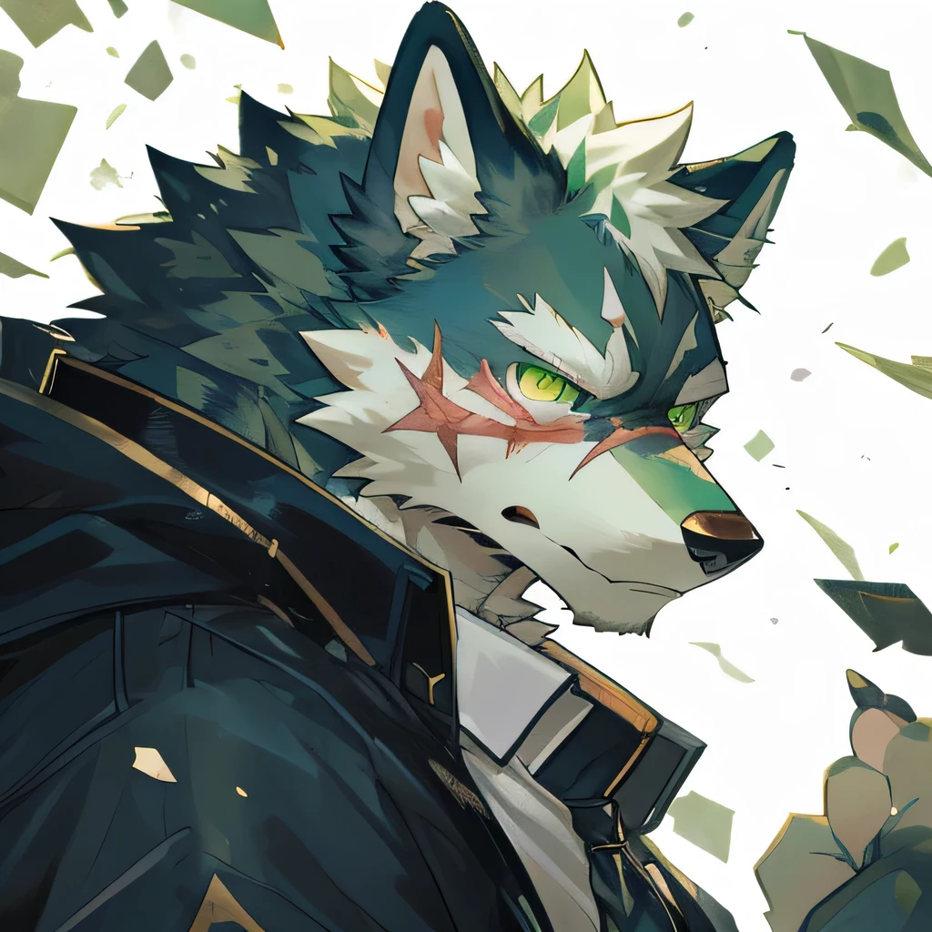 masterpiece,high quality,perfect anatomy,furry,anthro wolf,white and green fur,male, niji5,green pupils,bright eyes,scar on face,sky is broken,detailed face,by kiyosan,close up face