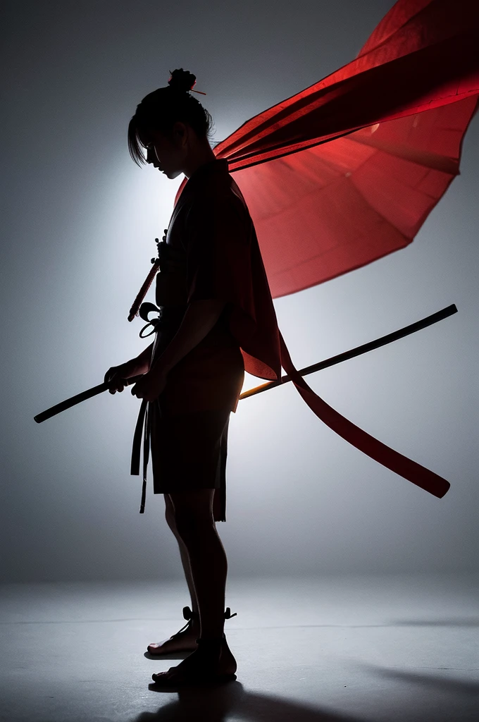 Samurai、flash、silhouette