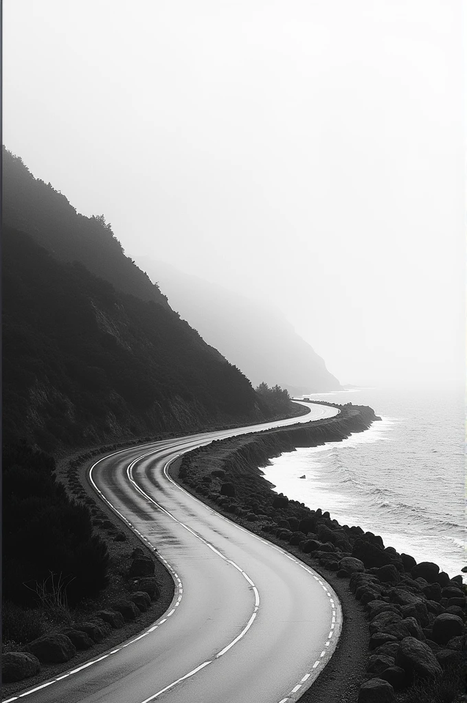 A layout in black and white with side of sea or other area and two oppo side covered bg road othe side have other s slightth.jp