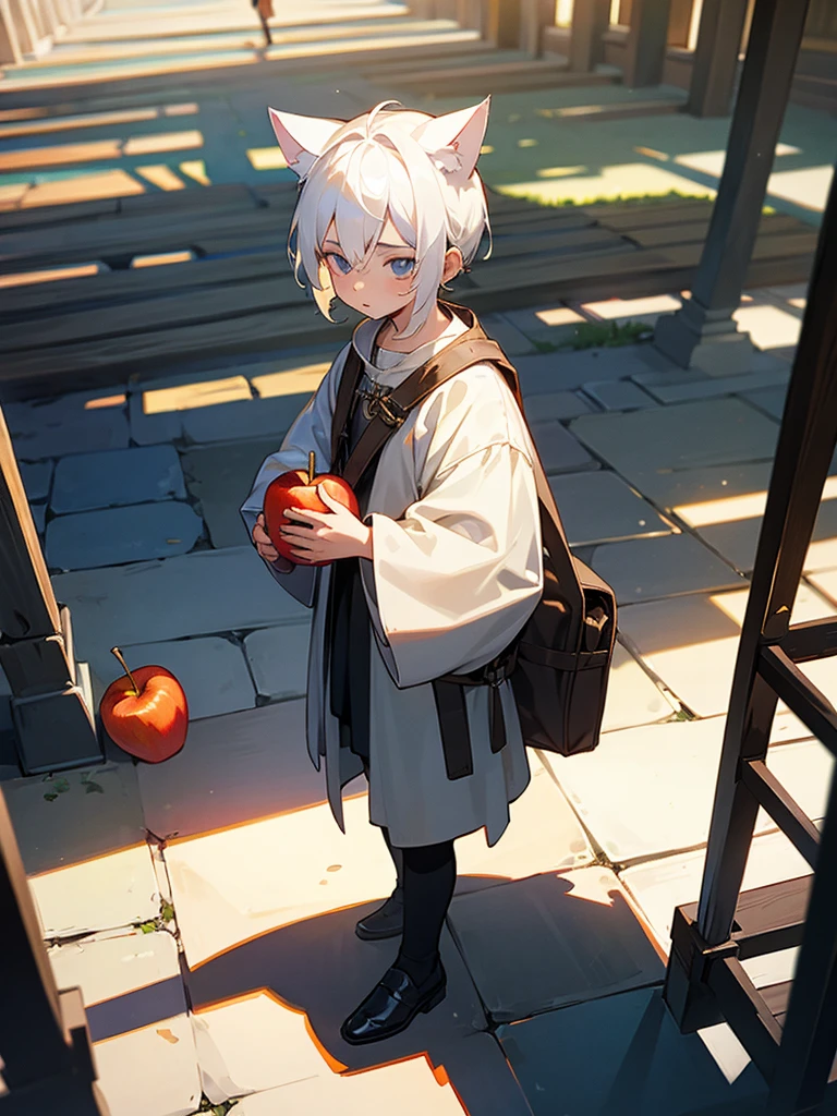 Child boy with white hair cat ears boy in medieval modern clothes holding a bag of apple best quality and best effects best shadows best lighting 8k