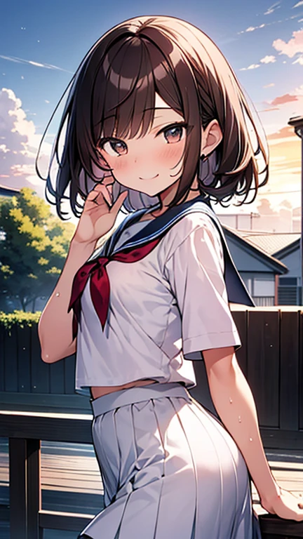 Let's think step by step,Highest quality、masterpiece、 Ultra-high resolution 、8k、Show anime style 、Soft Line Art、Digital Enhancement、 shojo anime touch, shojo manga core, Flowing fabric、Soft Drawing、 Ultra-Definition Digital Anime Art、 Clear facial depiction、Super detailed girl cartoon character art、 Ultra-detailed manga style、 Highest qualityの色、
１People Girls、(Brown hair short cut)、Wet Hair、Beautiful brown hair、Perfect Face、Cute and symmetrical face、Shiny skin、Friendly face、Clear brown eyes、Slightly chubby、Small breasts、buttocks are small、(((Teasing Smile)))、High school girl in sailor suit、
On the way home from school、Clouds in the sky、Warm and soft sunset、happiness！