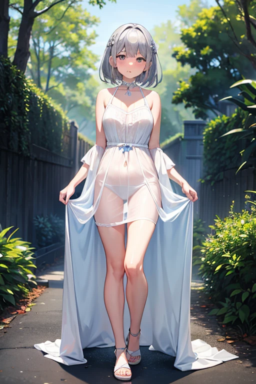 Silver-haired woman in a dress, 1womanl, standing alone, summer dress, Transparent robe, swimsuit underneath, blush, looking ahead at viewer 