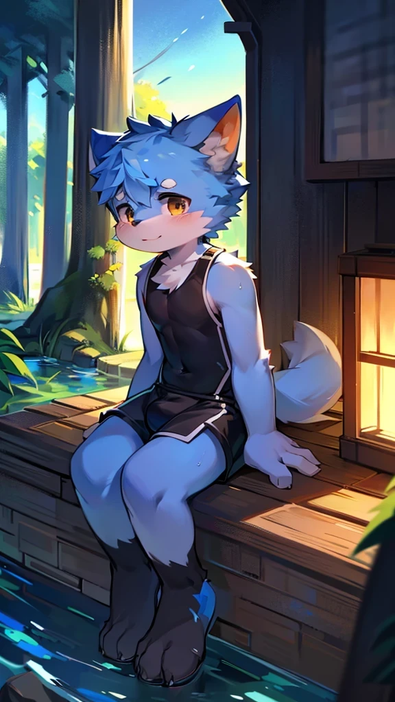 Features,super high quality,Very detailed,High resolution,超High resolution,Detailed Background,River side,Not very detailed,超High resolution,Horny boy always details,超High resolution,Horny boy(Photos of solo travelers) (kemono,Furry Personification),Fluffy fur,かわいい耳のFeatures,Blue fur,dog,Wear a swimsuit,Black Swimsuit,night,Shorts,,alone