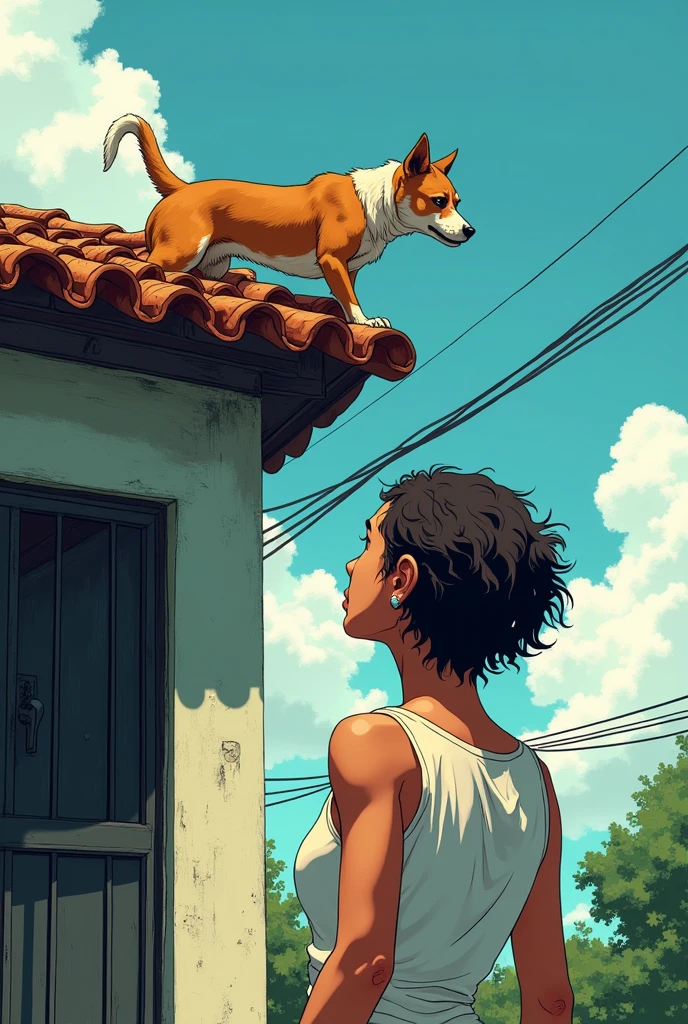 Woman looking at the roof of her house, a stray dog is on the high roof, trying to get down. Simple house in Brazil. manga style.