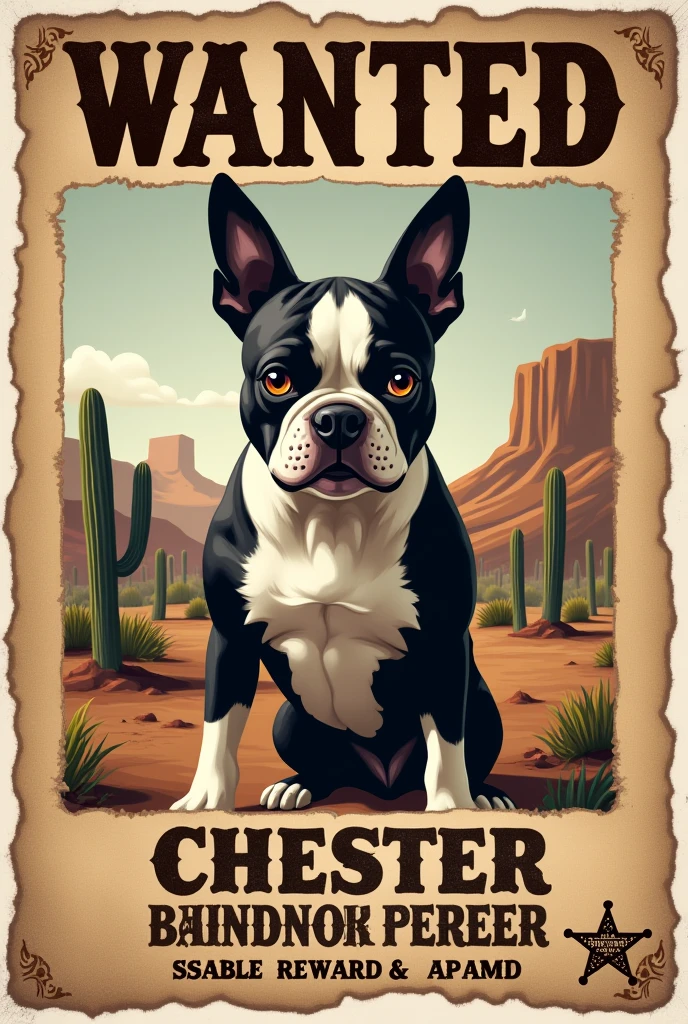 An old western poster where a Boston Terrier named Chester is wanted on the loose 