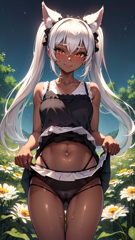 （dark skin,Silver Hair,Fox Girl）,(Perfectly detailed face),(）,(Young),twintails ,(camisole,mini skirt),(((skirt lift))), (((Black underwear))),cameltoe,garden,noon,sweaty,Smirk,High resolution, masterpiece, Highest quality, High resolution, Cowboy Shot