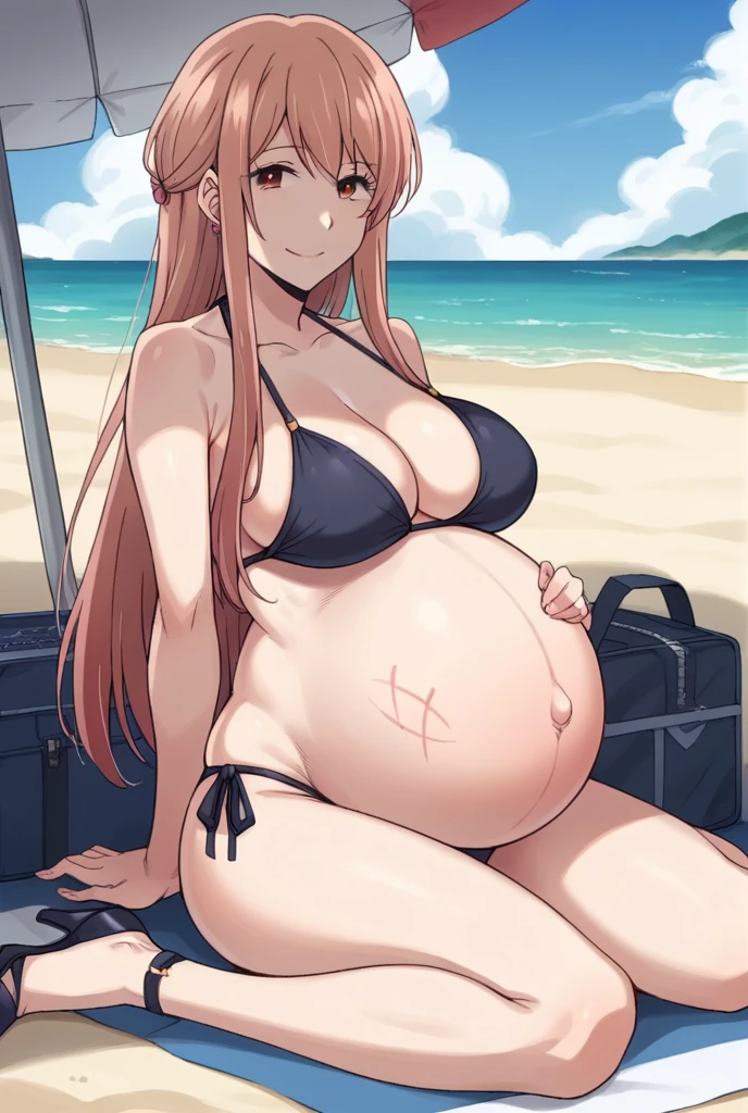 score_9, score_8_up, score_7_up, source_anime,
akaneminagawa, akane minagawa, long hair, bangs, brown hair, brown eyes, Big breasts,
Bikini, panties, Heels, big belly, large belly, Beach, background, rubing belly, smile,
looking at viewer, cowboy shot, solo, pregnant, possing, Sitting, strech marks, belly button, earrings, 