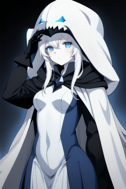 wo-class aircraft carrier, hat, wearing edgCultist_hood, gloves, hair, 1girl, white hair, solo, white skin, whjte gloves, bodysuit, blue eyes, blue cape, long skirt, Masterpiece, Best Quality, night