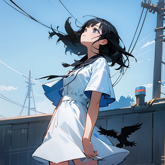 Girl, black hair, white dress, looking up, blue sky, lots of electric wires, pylon, crow, wind, sunlight