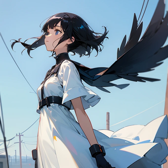 A girl with shiny black hair, wearing a pure white dress, looking up, blue sky, lots of electric wires, pylons, crows, wind, sunlight, loneliness