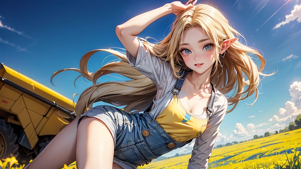 ((Masterpiece)), (Anime:1.5), ((best quality)), (RAW photo:1.2), (High Definition:1.3), (Professional Photography:1.2), (), (1girl), cute young girl, BREAK, (naughty face:1.3), (Beautiful daiamond eyes:1.5), (pale skin), elf girl, wearing Gray Workwear Coveralls, flat chest, slender waist, BREAK, (hair over eyes:1.2), Silky hair, medium hair, ((blond hair)), wearing Gray Workwear Coveralls, (in a wheat field among agricultural machinery), ((full length image of a girl)), ((low-cut neckline)), (open clothing in the chest area), ((Ukrainian flag on the background in the field)), Ukrainian flag on a flagpole, full length image of a girl, slender legs, (yellow-blue national flag of the state of Ukraine - (the upper part is blue and the lower part is yellow):1.5)