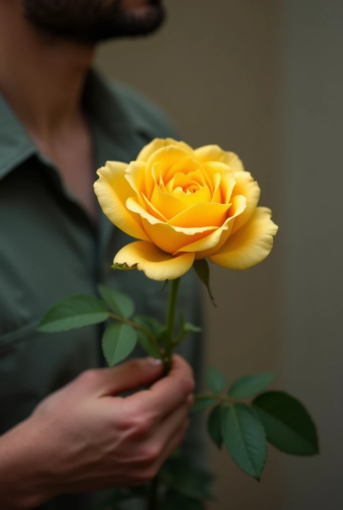 holding yellow rose in males hand dont show face no man behind rose just hand and rose