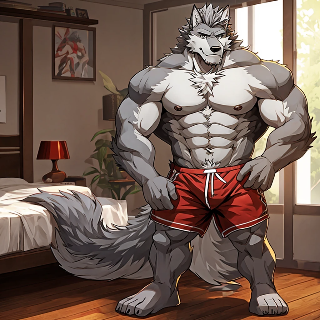 A Picture Of A Very Muscular Furry Gray Wolf. He Wear Only A White And Red Shorts And A Red and topless. He is in his bedroom. His eye is looking At You. He have a very long tail. He is standing on the floor. He have a gray eye. He have a gray messy hair