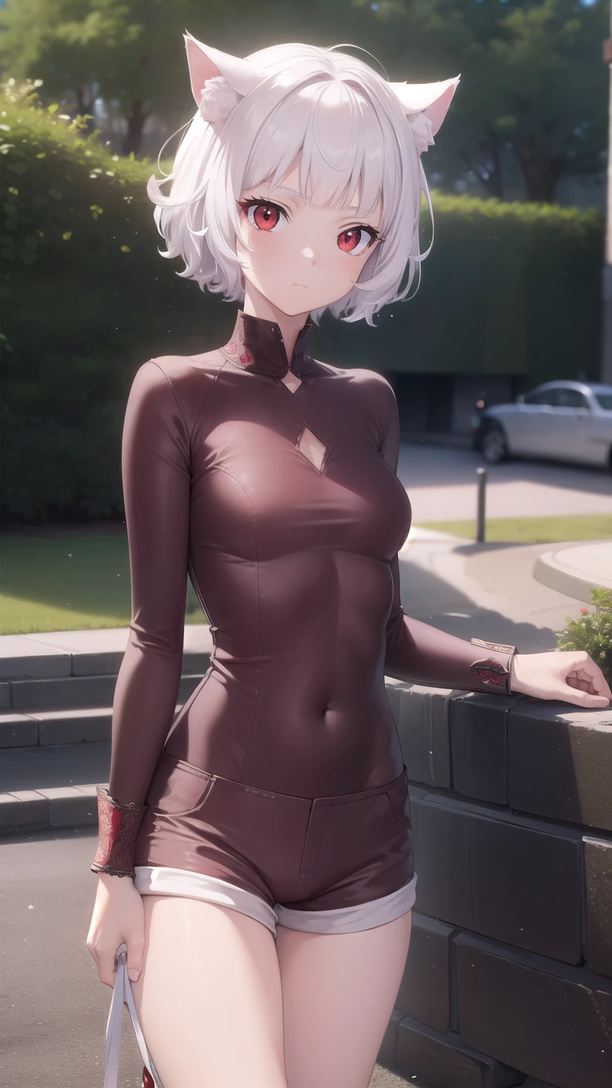 neferpitou, neferpitou, short hair, (red eyes:1.5), black , animal ears, white hair, shorts, cat ears, cat tail, curly hair, (small breast:1.2), BREAK looking at viewer, BREAK outside, BREAK (masterpiece:1.2), best quality, high resolution, unity 8k wallpaper, (illustration:0.8), (beautiful detailed eyes:1.6), extremely detailed face, perfect lighting, extremely detailed CG, (perfect hands, perfect anatomy), sexy poses