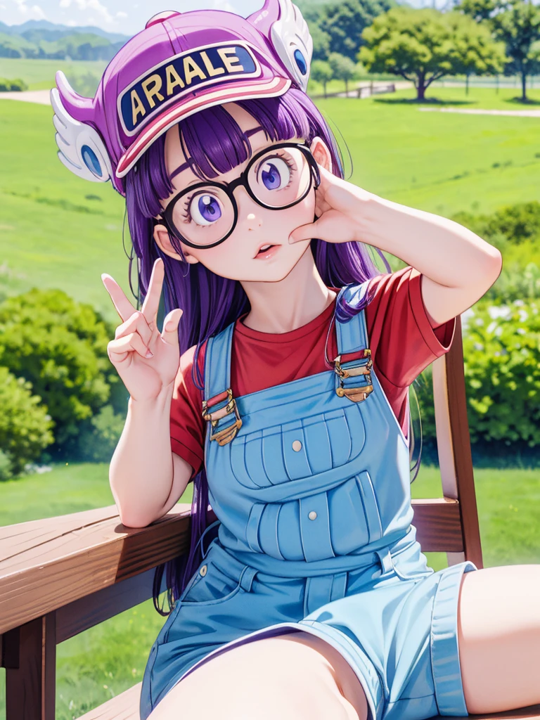 masterpiece, highest quality, Very detailed, 16k, Ultra-high resolution, Cowboy Shot, Detailed face, Perfect Fingers, One girl, Garden of the mansion, arale, glasses, blue eyes, long hair, purple hair, short sleeves, hat, cap, red shirt, blue overalls