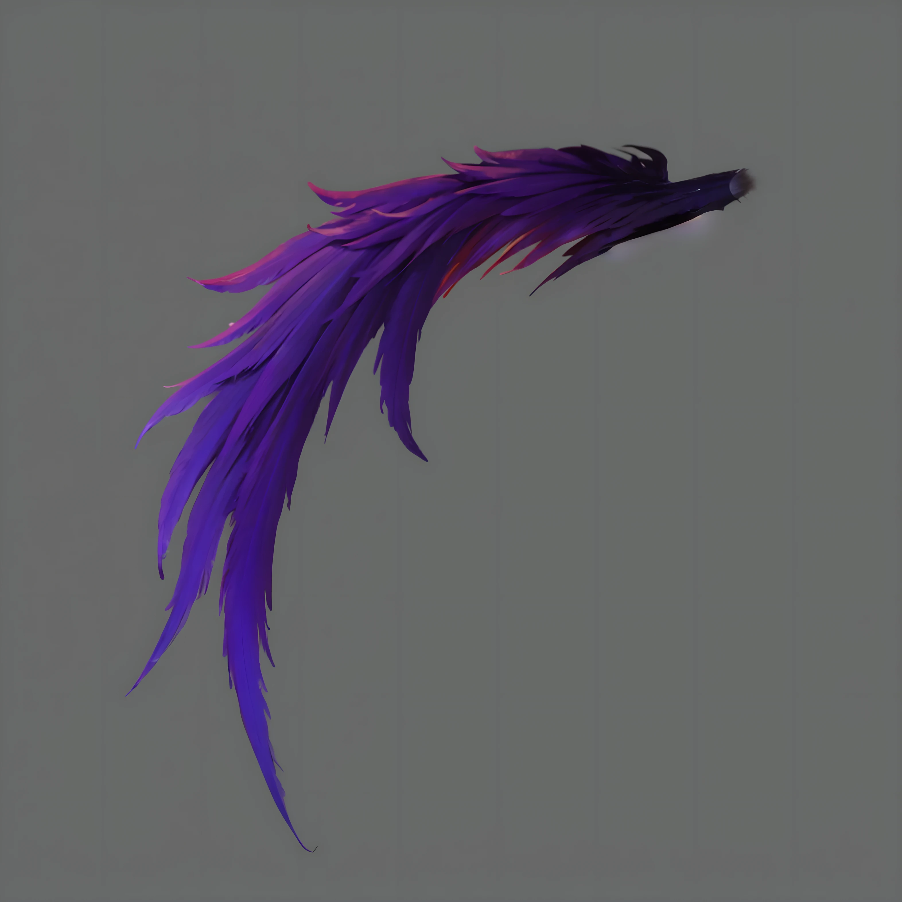 Purple and black feathers on gray background, Purple feather, The tail is slightly wavy, feathery wings, feather, Soft feather, purple leather wings