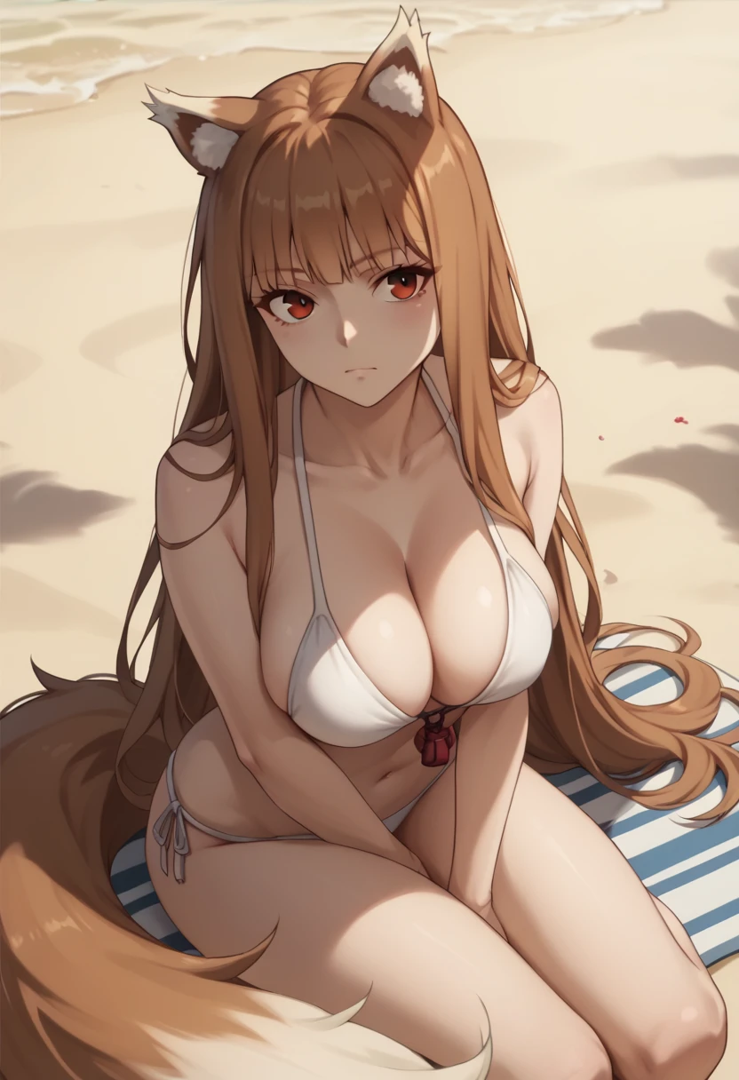 Brown Hair,Long Hair,Red eyes, Wolf Girl,Wolf Ears,Wolf's tail、Large Breasts、White Bikini、Long chest、Cleavage、Beach