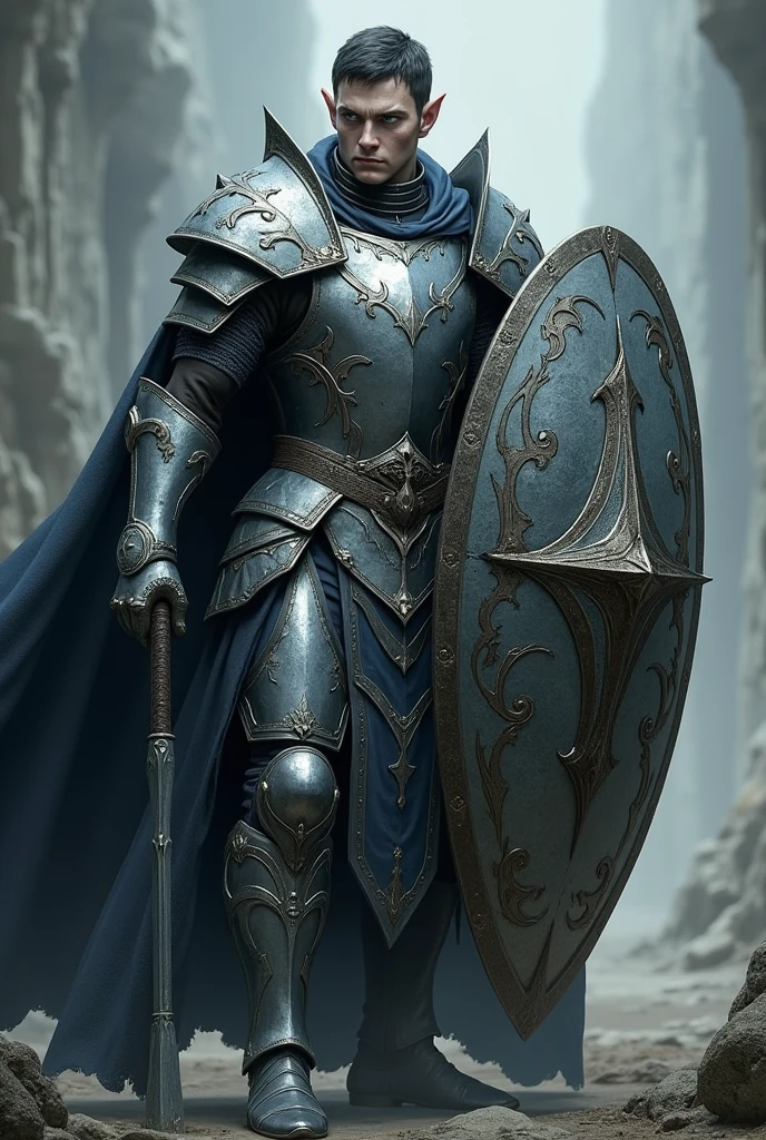 Male elf dark short hair White skin dark blue eyes no beard with silver heavy armor , weapons mace and tower shield