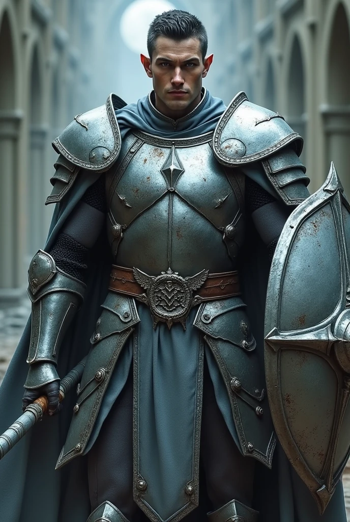 Male elf dark short hair White skin dark blue eyes no beard with silver heavy armor , weapons mace and tower shield