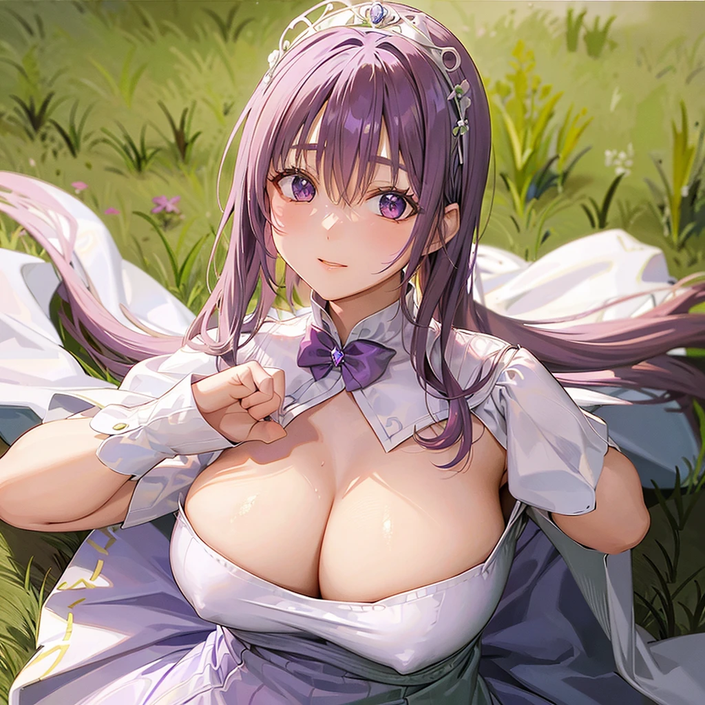 , lilac hair, side ponytail, large tiara, purple eyes, white dress, small breasts, medieval, grassland