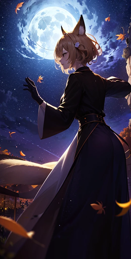 １people々々々々々々々々々々々,Woman with medium length blonde hair，Fox Ears，Long coat，Takageta， Dress Silhouette， Rear View，Space Sky, Full moon background，Flower Field，Colorful flowers，Dancing Petals，autumn，autumn leaves，rain，