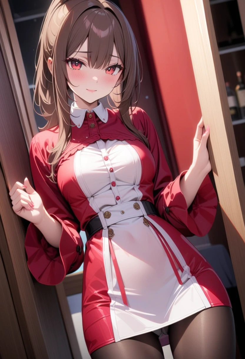 ((best quality)), ((masterpiece)), (detailed)),masterpiece, best quality, dress, skirt, silk fabric, silk dress, red dress, white shirt, full sleeves, dark brown hair, ponytail, long bangs, long hair, red eyes, black pantyhose, medium thighs, looking at viewer, more detail XL, standing, white panties, panties under pantyhose, pantyshot, cowboy shot, from front, pink lips, indoors, light smile, scenery, (negative_v2 Color_Balance_Calibration:0.8)