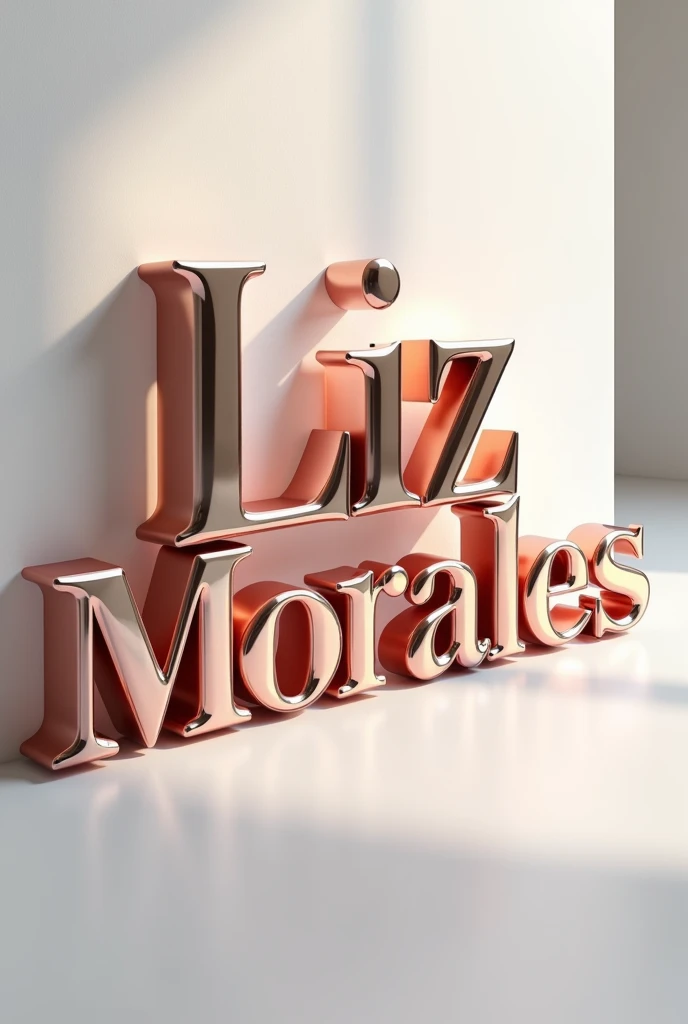 logo Make Up 3D And Name “Liz Morales