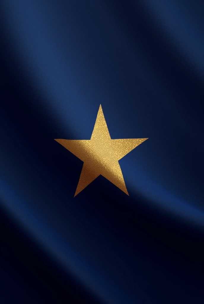 The flag of Morocco but the star is gold and the background is navy blue