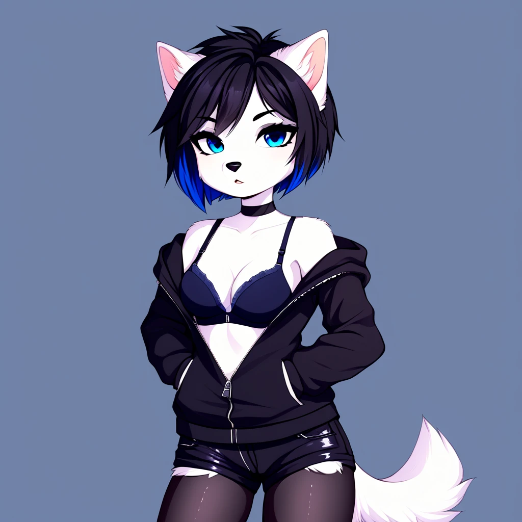 anthropomorphic dog, female, white fur, short black hair, blue colored eyes, simple background, black sweatshirt, Semi-open zipper, bra strap showing, short black shorts, black drag tights