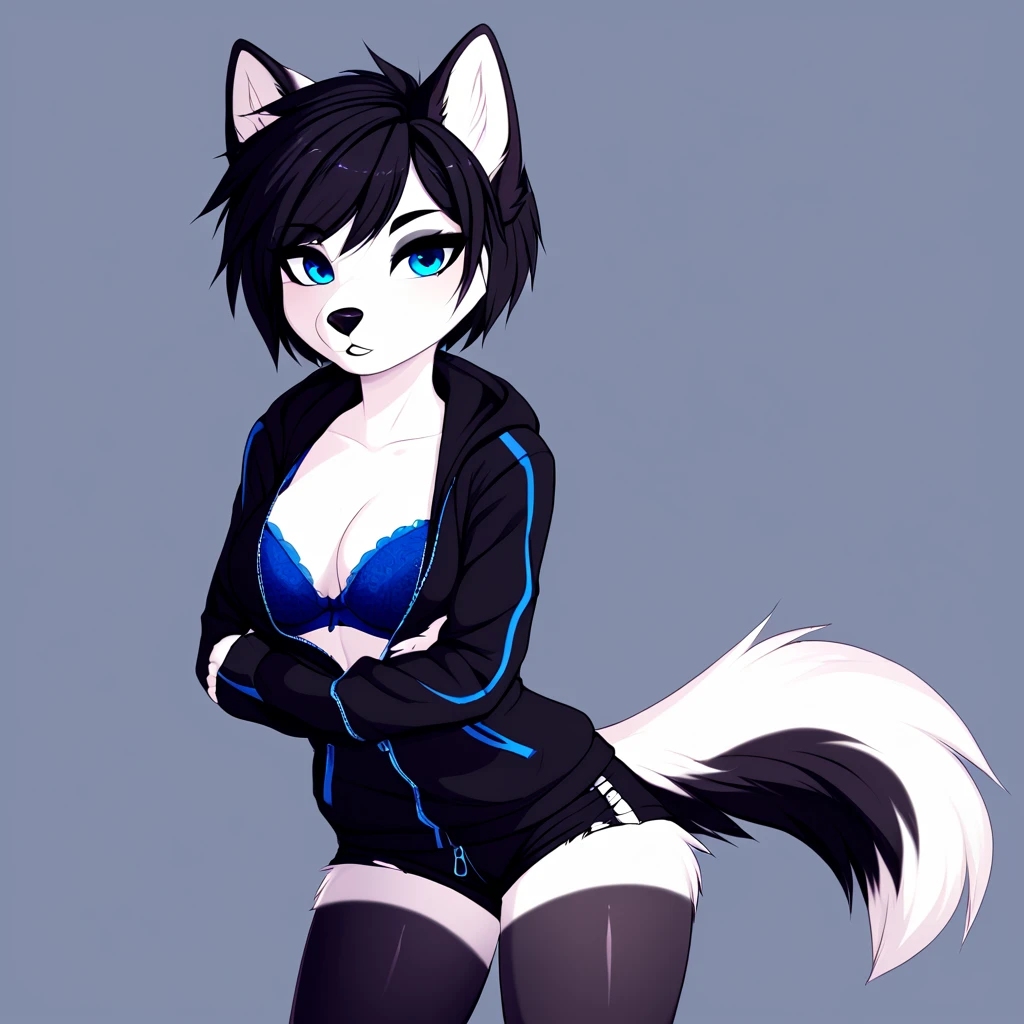 anthropomorphic dog, female, white fur, short black hair, blue colored eyes, simple background, black sweatshirt, Half-open sweatshirt zipper, bra showing, short black shorts, black drag tights