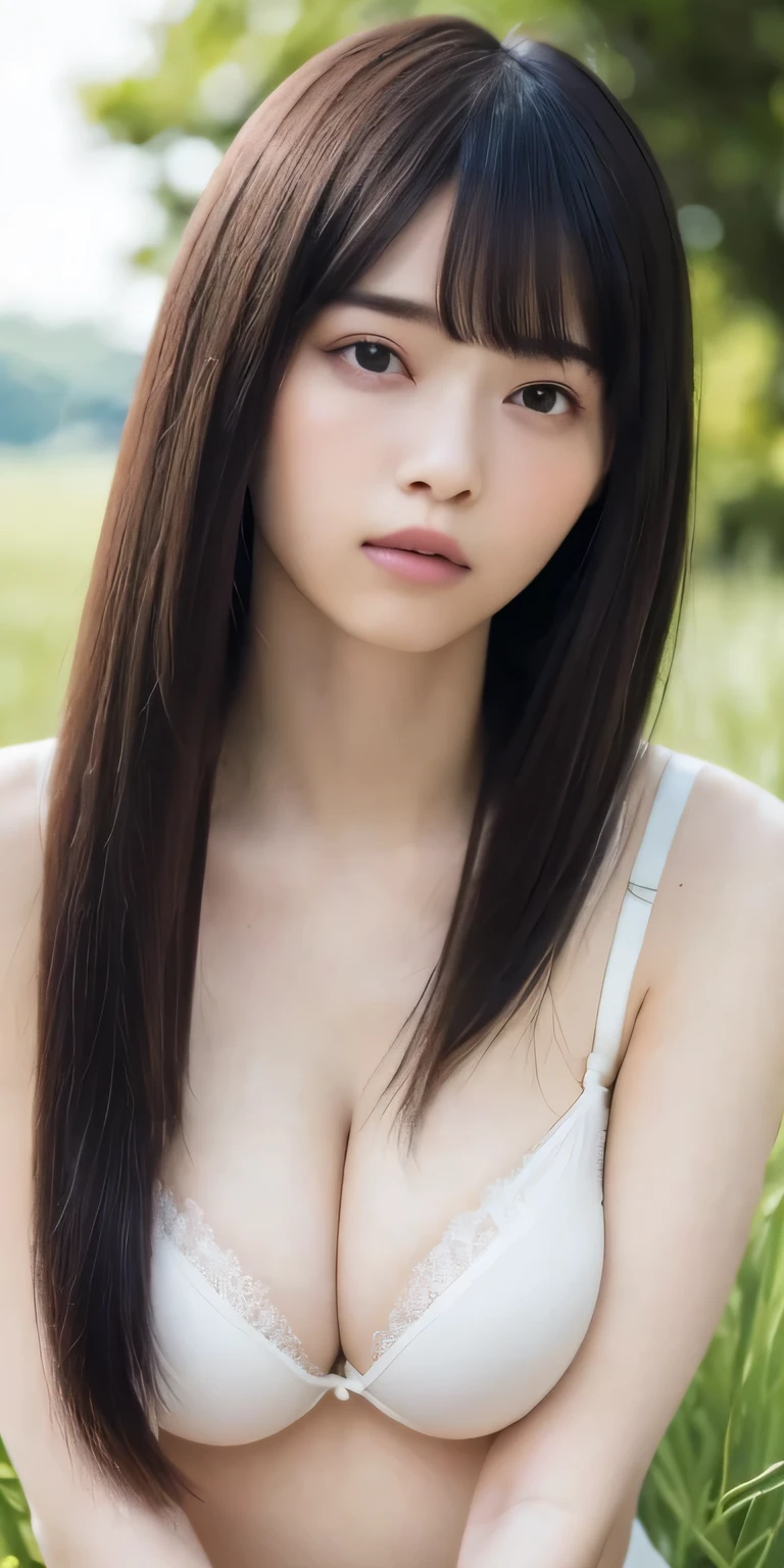 masterpiece、Highest quality, Ultra-high resolution、8k,photograph、1 girl, (Skin dents), (Large Breasts:1.4), bright, Blurred Background, (Asymmetrical bangs, Long Straight Hair:1.5), (Loose fitting black lace bra)、soft, drooping udder、The upturned, narrow eyes are cute、sad、grassland、Spring Sky、Soft sunlight
