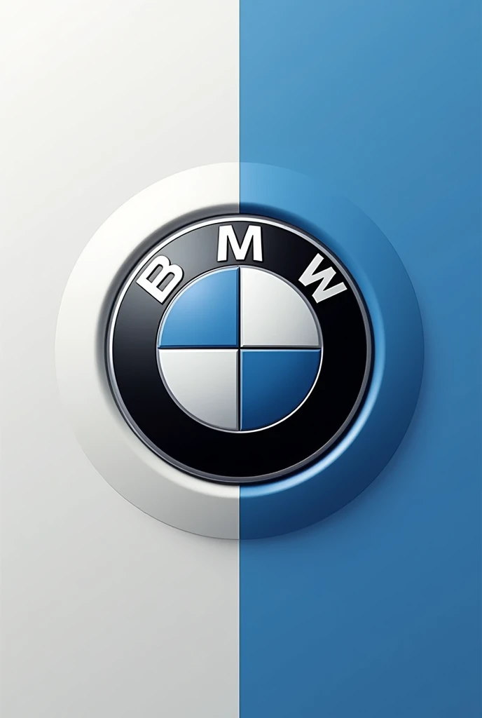 bmw logo with different color palette