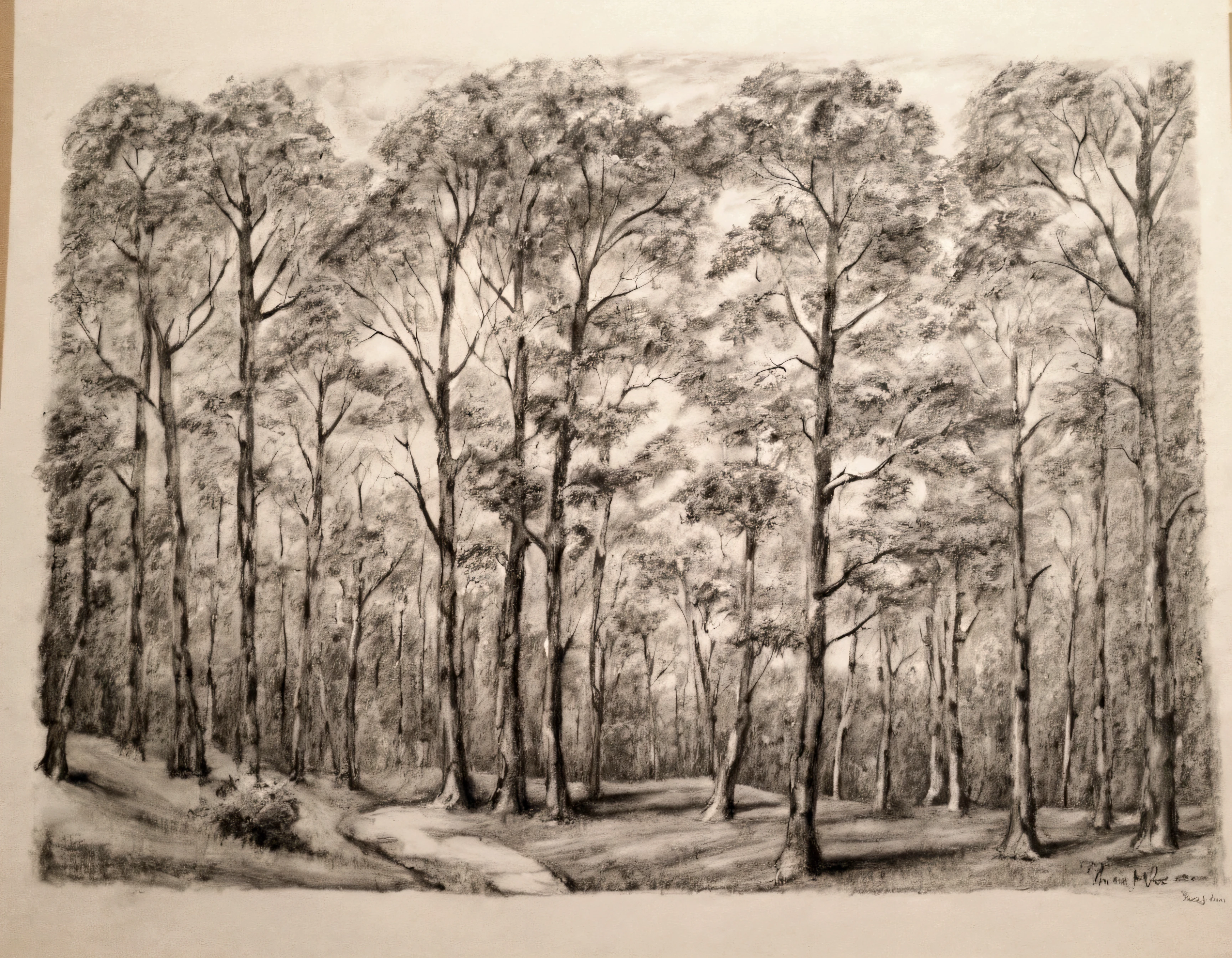 Make an observational painting from this using charcoal only