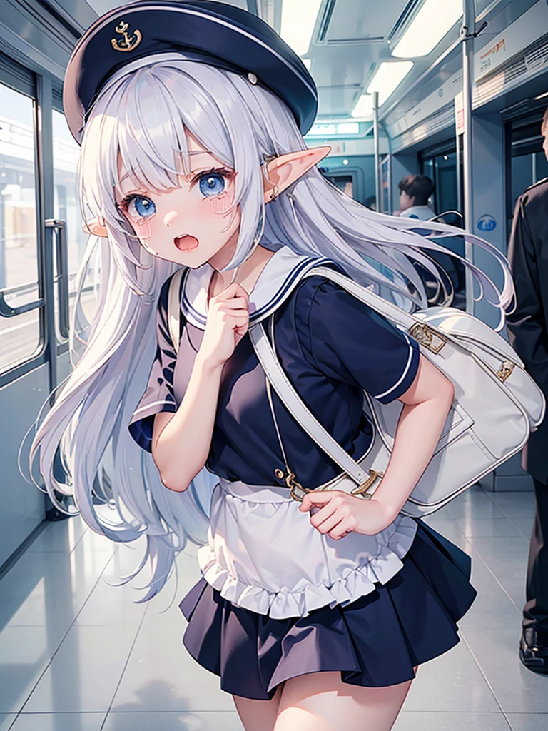 high quality, 8k. masterpiece, 最high quality, High resolution,8hair, High resolution, in the train、Elf girl in sailor suit、Are crying、(((She hit the man in the face with her bag。.))),